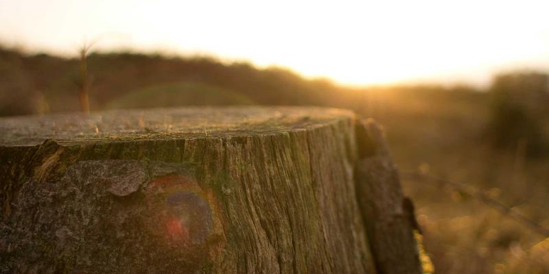 专业网球拍参数全解析：从拍面大小到重量平衡点的科学选择指南