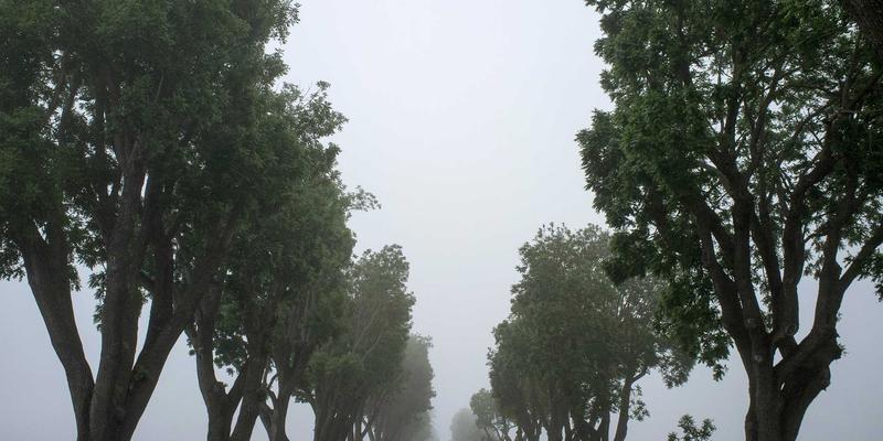 专业网球拍参数解析：拍面大小、重量与平衡点如何塑造你的击球风格与手臂负担