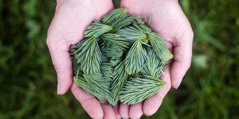 专业跑步装备选购指南:从入门到进阶的运动装备全解析