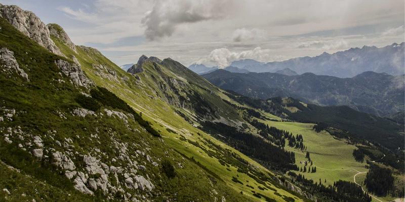 从入门到精通：如何选择你的第一块专业级公路自行车 | 运动装备终极指南