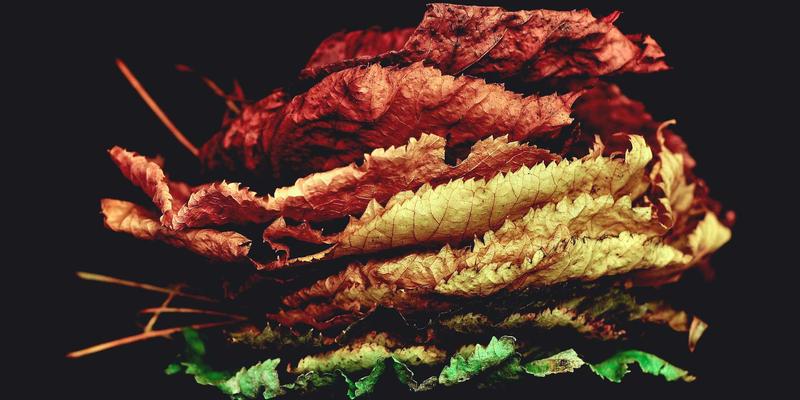 从运动装备视角解析：如何挑选契合发力特点的斯诺克球杆