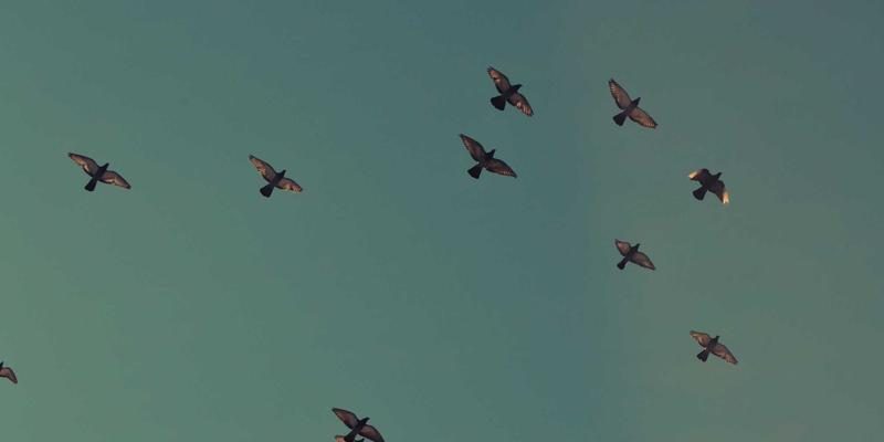 体育用品使用全攻略:从户外运动到居家健身,解锁器材正确打开方式