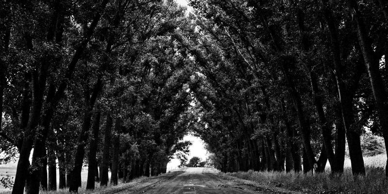 体育用品行业新浪潮：运动服饰与跑步装备引领智能健康消费革命