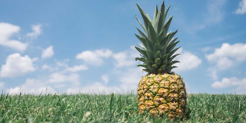 冬季运动装备全攻略：从滑雪板到冰球杆的选购与维护要点