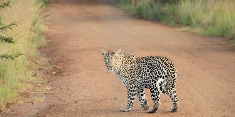户外运动达人必备：露营帐篷选购全攻略，从季节、人数到地理环境的专业考量