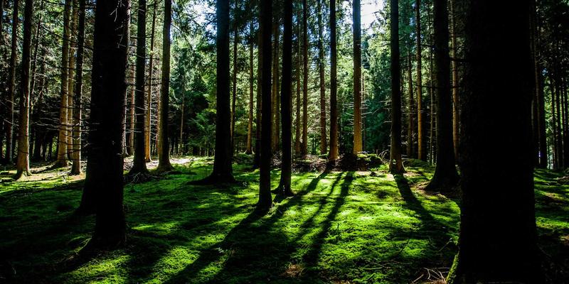 智能体育用品深度测评：跑步装备与球类器材如何科学提升训练效率