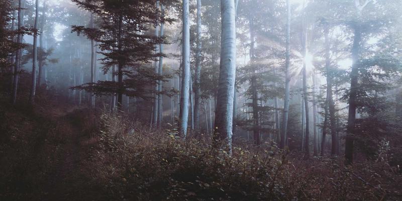 球类器材与户外运动必备：不锈钢、Tritan与软水袋，谁是你的最佳运动伴侣？