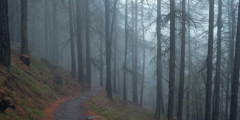 瑜伽垫材质全解析：TPE、天然橡胶与PVC，哪种更适合你的练习类型与环保需求？