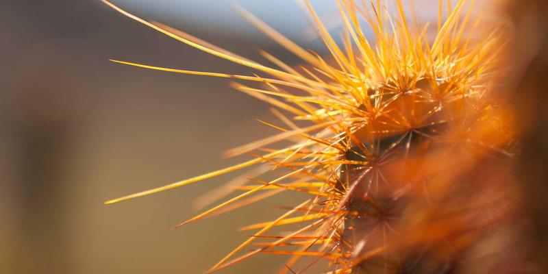 高尔夫球杆定制全解析：如何根据挥杆数据科学选择杆身、杆头与握把